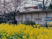 ことでん50駅補修工事